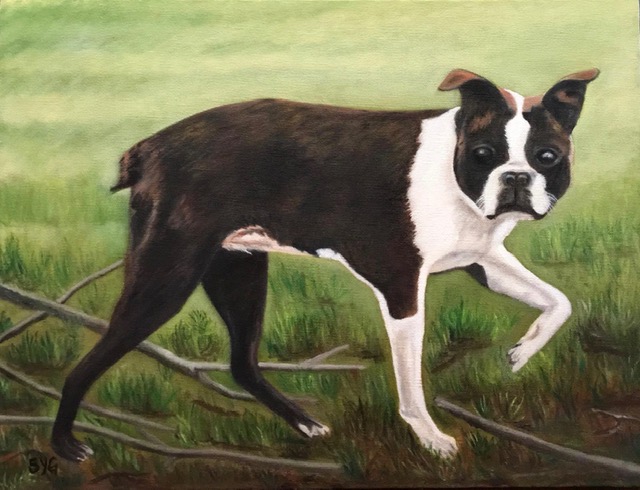 a8eaa18d-8d8a-43fc-a494-51ca0f04753f